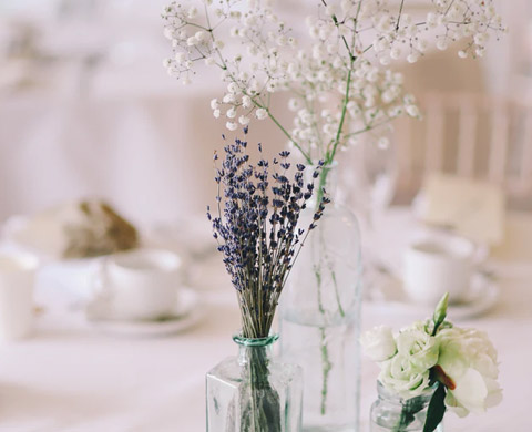 Lavender Flowers